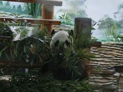 -西霞口神雕山野生动物世界