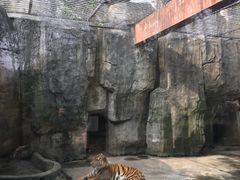 -南昌动物园