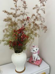 -WENDY·温迪皮肤管理