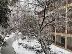 -大千天鹅湾温泉