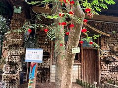 -呀路古热带植物园