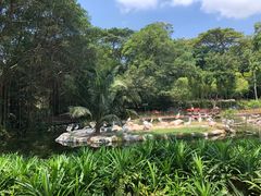 -新加坡飞禽公园