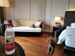 -上海崇明金茂凯悦酒店