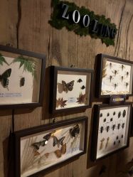 -Zoolung Zoolung动物主题公园(海信广场店)