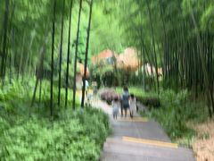 -天目湖山水园