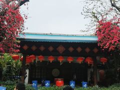 -青青世界