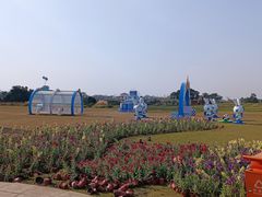 -空港花田景区