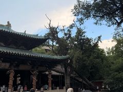 -晋祠公园