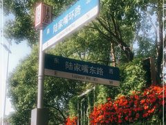 -陆家嘴中心绿地