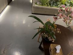 -施奈儿.洗头頭療.按摩SPA.采耳(上梅林店)