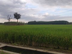 -嘉北郊野公园