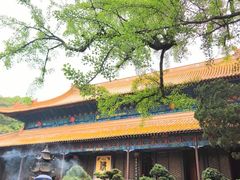 -普陀山风景名胜区-法雨禅寺