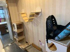 -宠爱国际动物医院·消化内科·心肾内科·ISFM猫友好(望京店)
