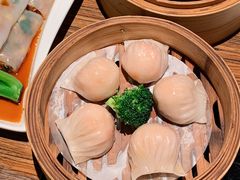-珍宝轩海鲜火锅(碧湖大厦店)