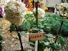 -杭州植物园