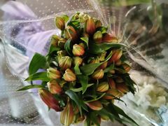 -双季花艺园艺市场(浦东店)