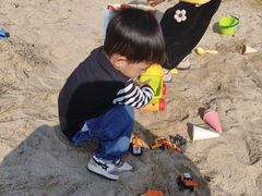 -菊园百果园