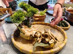 云南特色鲜菌-慢丽江·云南野生菌土鸡锅(付家庄店)
