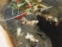 清蒸多宝鱼-老人和饭店(淮海中路店)