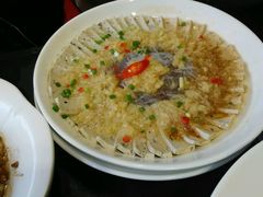 -刘胖子家常菜·蹄花焖藕(中南店)