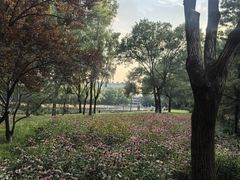 -森林公园(尖草坪区)