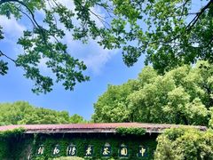 -中国茶叶博物馆(双峰馆区)