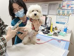 -美联众合动物医院·24h转诊中心