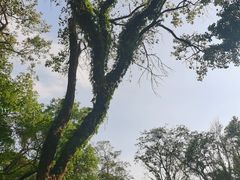 -广州市白云山风景名胜区