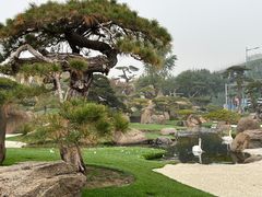 -罗红摄影艺术馆