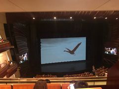 -威斯汀舞台餐厅