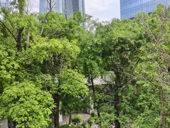 -重庆市江北嘴中央商务区中央公园