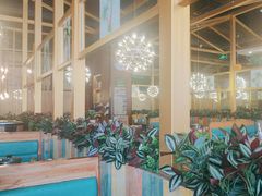 -原味四季椰子鸡(公明百佳华店)