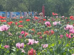 -国家植物园南园