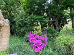 -杭州香格里拉·香宫中餐厅