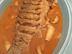 -阿五黄河大鲤鱼(英协路店)