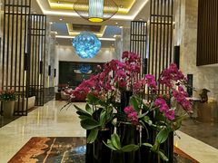 -徐州绿地皇冠假日酒店-汉宫中餐厅