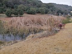-龙寺生态园