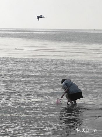 这里应该属于南戴河，新海滩，外面停车场很大