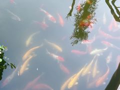 -水云居