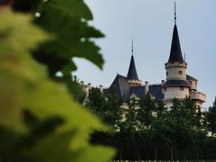 -北京张裕爱斐堡酒庄