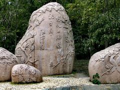 -上海共青森林公园