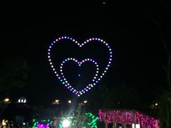 -大塘金香草谷