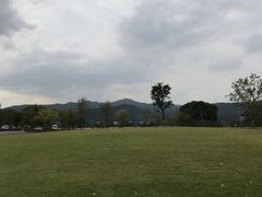 -长田漾湿地公园