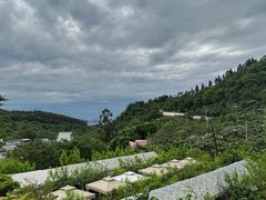 -桃源山庄·水蜜桃采摘·柴火鸡·烧烤团建(龙泉山店)