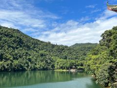 -鼎湖山风景区