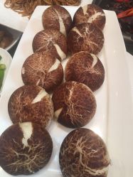 -嘉兴希尔顿逸林酒店·宴会厅