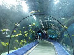 -福州罗源湾海洋世界旅游区