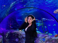 -沈阳海洋探索中心