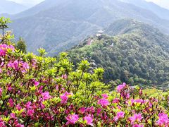 -梧桐山风景名胜区