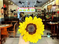 -70後铁锅炖(坡博总店)